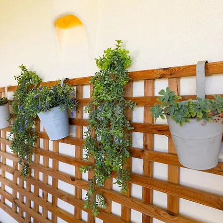 Casa Flor De Sal * Carvoeiro (Lagoa)